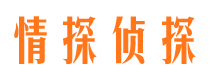 霍城市调查公司